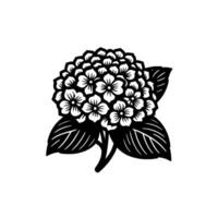 A stylized, minimalist black and white illustration of a vibrant hydrangea flower with detailed petals and leaves, centered on a white background. vector