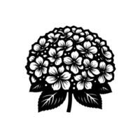A stylized, highcontrast black and white illustration of a spherical hydrangea flower head with intricate details and vibrant, defined petals and leaves. vector