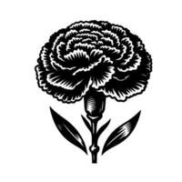 Intricate Black and White Woodcut Illustration of a Carnation Flower with Detailed Petals and Leaves Against a White Background. vector