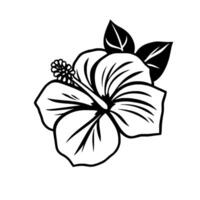 Bold Black and White Hibiscus Flower Illustration with Three Leaves, Highlighting Petal Details and a Central Stamens. vector