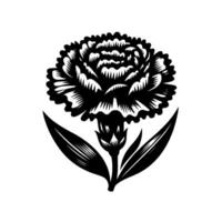 Intricate Black and White Carnation Illustration Detailed Petals, Leaves, and Stem on Isolated White Background, Style Art. vector