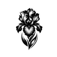 Intricate Black and White Iris Floral Illustration with Detailed Line Art and High Contrast on a White Background. vector