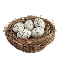 Bird's Nest with Speckled Eggs on Transparent Background png