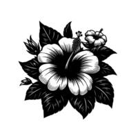 Intricate Black and White Floral Illustration Featuring Hibiscus Blossoms and Leafy Surroundings, with a focus on contrasting values and detailed linework. vector