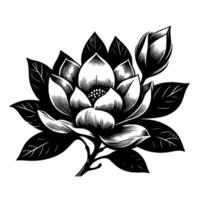 Intricate Black and White Floral Illustration A Detailed Magnolia Bloom with Leafy Accents and Bud, Isolated on White Background vector