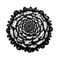 Intricate, highcontrast black and white floral illustration showcasing concentric layers, detailed petals, and a minimalist style. vector