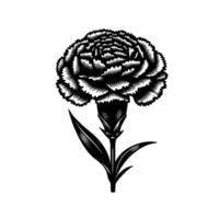 Intricate Black and White Illustration of a Carnation Flower with Detailed Petal and Leaf Structures on a Bright White Background. vector