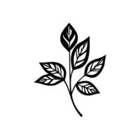 Minimalist Black and White of a Leafy Branch with Detailed Veins, Centered Composition on White Background. vector