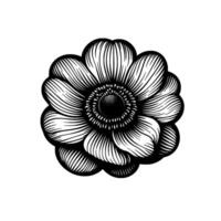 Striking Black and White Floral Illustration Detailed Linework and Petal Pattern on White Background, Showcasing a Center Focus and Artistic Precision. vector