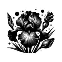 Intricate Black and White Linework Illustration of an Iris Flower, Showcasing Petal Details, Buds, and Abstract Dot Elements on White Background. vector