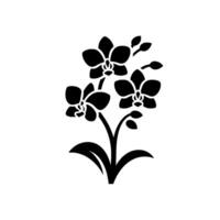 Bold Black Silhouette of an Orchid Plant with Four Open Blooms, Buds, and Leaves Against a White Background. vector