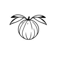 illustration of a stylized fruit with two leaves, rendered in black lines on a white background. vector