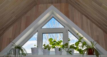 Triangular window with houseplants on the windowsill. Blue sky and trees view. Interior with wood trim photo