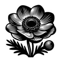 Intricate Black and White Linocut A Detailed Anemone Flower with Striated Petals, Leaves and Seed Pod on a Pure White Background. vector