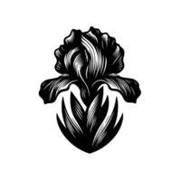 Intricate Black and White Engraving of an Iris Flower with Detailed Petals and Foliage, Symmetrical Composition vector