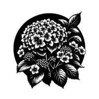 Elegant Black and White Floral Illustration Hydrangea, Berries, and Leaves within a Circular Frame. vector