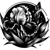 Detailed Black and White Engraving of an Iris Flower with Bud and Leaves, Surrounded by a Starry Circle and Decorative Elements. vector