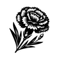 Intricate Black and White Carnation Illustration with Detailed Petal and Leaf on White Backdrop, Botanical Artwork. vector