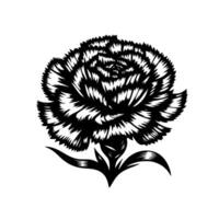 Intricate Black and White Carnation Illustration with Detailed Petals and Leaves, a Floral on a White Background vector