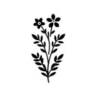 Minimalist Black and White Floral Illustration Featuring Two Delicate Flowers and Foliage on a White Background vector