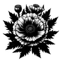 Detailed black and white illustration of poppy flowers, buds, and leaves arranged in a radial pattern, with a classic engraving style on white. vector