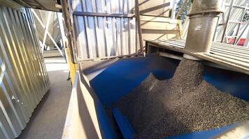 Warehouse for grain storage. Storage of grain and other different cereals video