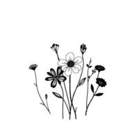 Minimalist Black and White Floral Illustration A Delicate Bouquet of Wildflowers in Ink, Isolated on White. vector