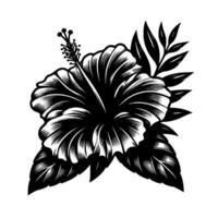 style hibiscus flower with detailed shading, featuring a bold black and white contrast on a pristine white background with intricate leaf arrangement. vector