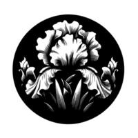 Intricate Black and White Engraving of an Iris Flower within a Circular Frame, Emphasizing Delicate Petal Details and Linear Texture. vector