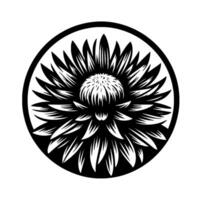 Intricate Black and White Floral Illustration Encased in a Circle, Emphasizing Detailed Petal Structure and Contrast. vector