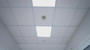 Ceiling lights custom designed. White ceiling with neon lights in the office video