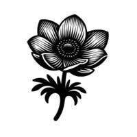 Monochromatic Anemone Bold Illustration of a Black and White Flower with Detailed Lines and Shadowing, Isolated on White. vector