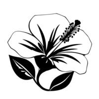 A stark monochrome illustration of a blooming hibiscus flower, showcasing its delicate petals, leaves, and intricate stamen against a clean white backdrop. vector