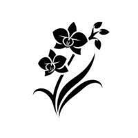 Elegant Black Orchid Silhouette Against White Background, Featuring Detailed Petal Structure and Leaf Arrangement. vector