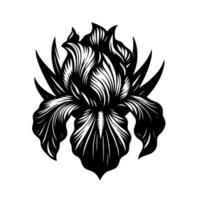 Bold Monochrome Iris Detailed Black and White Illustration of an Iris Flower in a Minimalist Style on White Background. vector