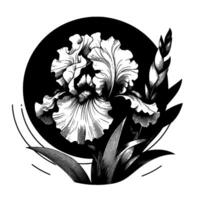 Intricate Black and White Iris Bloom with Detailed Line Art Against a Dramatic Circle Background. vector