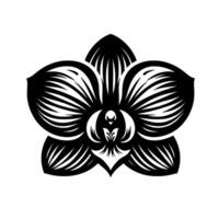 A symmetrical, highcontrast, illustration of an orchid flower in black and white, with a central stylized . vector