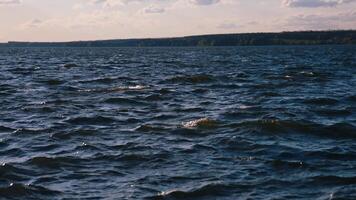 Sea surface background with waves. Water surface of the sea, close up video