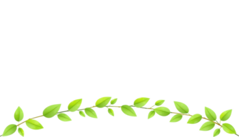 A green leaf with copyspace wreath on a transparent Background png
