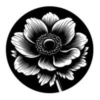 Exquisite Black and White Anemone Flower in a Circular Frame, Detailed Linework, Striking Contrast, Botanical Illustration. vector