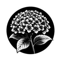 Black and white stylized of a hydrangea flower head, full bloom, inside a black circle, bold lines. vector