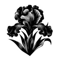 A Detailed Black and White Linocut of an Iris Flower with Lush Petals and Pointed Leaves, set against a White Background. vector
