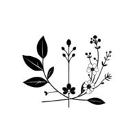 Minimalist Black and White Botanical Illustration Flowers, Leaves, and Buds in a Symmetrical Arrangement on White Background. vector