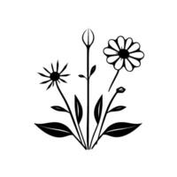 Minimalist Black and White Floral Arrangement Featuring Three Different Flower Types and Leafy Stems on a White Background. vector