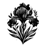 Ornate Black and White Engraving of an Iris Flower with Surrounding Foliage, Displayed on a Creamy Background. vector