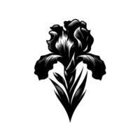 Stylized Black and White Iris Blossom Illustration with Intricate Linear Detailing, Isolated on a Pale Background. vector