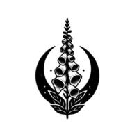 Intricate black and white digital illustration of a foxglove flower, stylized in a botanical linework , framed by crescent moon with stars. vector