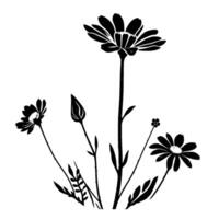 Monochrome botanical illustration of wildflowers in various stages of bloom, rendered in bold black lines against a clean white backdrop. vector