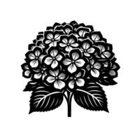 A stark, highcontrast black and white illustration featuring a detailed hydrangea flower and leaves set against a clean white background. vector