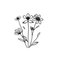 Minimalist Line Art Delicate Black and White Floral Illustration Featuring a Variety of Wildflowers, Stems, and Leaves, on a Clean White Background. vector